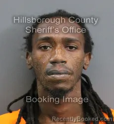 Mugshot of MICHAEL ANTHONY-NESHAUN WIGGINS booked in Hillsborough County, Florida on June 3, 2026