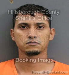Mugshot of GREGORIO JOSE CAMARILLO MAVAREZ booked in Hillsborough County, Florida on June 3, 2026