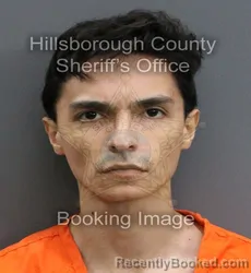 Mugshot of MATIAS GABRIEL MENESES ALVAREZ booked in Hillsborough County, Florida on June 3, 2026