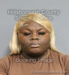 Mugshot of TREZUREE QUAZYRIA EDNISSIA DAVIS booked in Hillsborough County, Florida on June 3, 2026