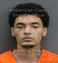 Mugshot of NOAH CADEN THOMAS booked in Hillsborough County, Florida on June 3, 2026