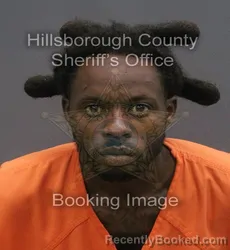 Mugshot of RECHI LAVON BUTLER booked in Hillsborough County, Florida on June 3, 2026