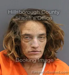 Mugshot of JAYME ROSE BERRY booked in Hillsborough County, Florida on June 3, 2026