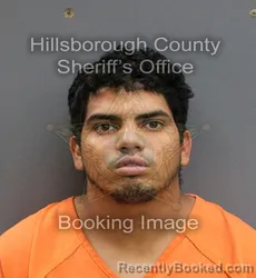 Mugshot of DOULFRANK ALEJANDRO GAMEZ GONZALEZ booked in Hillsborough County, Florida on June 3, 2026