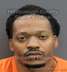 Mugshot of ESIAS DERRELL WILLIAMS booked in Hillsborough County, Florida on June 3, 2026