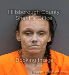 Mugshot of ASHLEY KAY CLARK booked in Hillsborough County, Florida on June 3, 2026