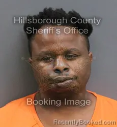 Mugshot of EDWARD JAMES JR HOWARD booked in Hillsborough County, Florida on June 3, 2026