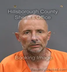 Mugshot of JAMES ESTES booked in Hillsborough County, Florida on June 3, 2026