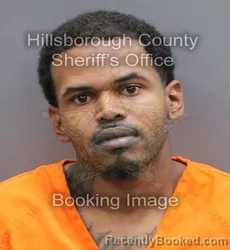 Mugshot of JORGE LUIS JR TORRES