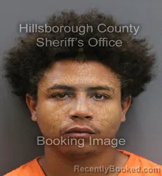 Mugshot of YOHANZY GUILLERMO JIMENEZ booked in Hillsborough County, Florida on June 4, 2026