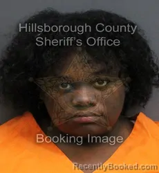 Mugshot of TIKKIA RHASHIDAH ANN LAMAR booked in Hillsborough County, Florida on June 4, 2026
