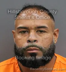 Mugshot of JOSE LUIS JR LOPEZ booked in Hillsborough County, Florida on June 4, 2026