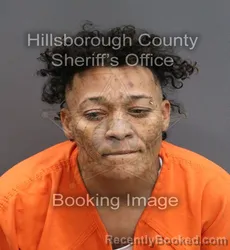 Mugshot of INES ORTIZ-ROSARIO booked in Hillsborough County, Florida on June 4, 2026