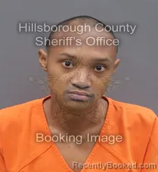 Mugshot of SHANE MATTHEW BROWN booked in Hillsborough County, Florida on June 4, 2026
