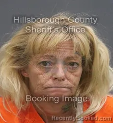Mugshot of AMY LYNN DENE booked in Hillsborough County, Florida on June 4, 2026