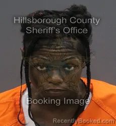 Mugshot of SHADALIA DE' SHAWN HOLLAND booked in Hillsborough County, Florida on June 4, 2026