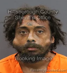 Mugshot of CLAUDE VINCENT JR GRIFFIN booked in Hillsborough County, Florida on June 4, 2026