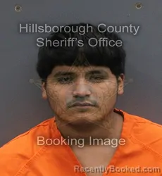 Mugshot of ANTELMO EDUARDO PEREZ booked in Hillsborough County, Florida on June 4, 2026