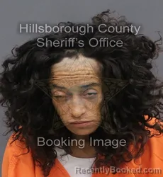 Mugshot of EIMY KARELIS ACEVEDO MALDONADO booked in Hillsborough County, Florida on June 4, 2026