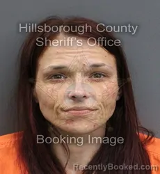 Mugshot of AMY ROSE LASTUVKA booked in Hillsborough County, Florida on June 4, 2026