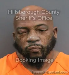 Mugshot of FREDERICK CHARLES TALLEY booked in Hillsborough County, Florida on June 4, 2026