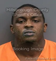 Mugshot of MYRON MIKE HARRIS booked in Hillsborough County, Florida on June 4, 2026