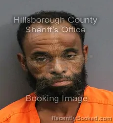 Mugshot of JOHN ALBERT JR SKINNER booked in Hillsborough County, Florida on June 4, 2026