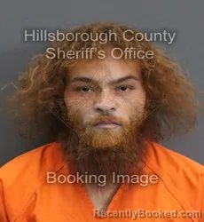 Mugshot of STEVEN FRANK HERNANDEZ booked in Hillsborough County, Florida on June 4, 2026