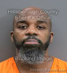 Mugshot of LA BARON FAYETTE II LEWIS booked in Hillsborough County, Florida on June 4, 2026