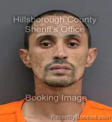 Mugshot of AGUSTIN III JIMENEZ booked in Hillsborough County, Florida on June 4, 2026