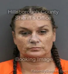 Mugshot of GINA RENEE FIGUEROA booked in Hillsborough County, Florida on June 4, 2026
