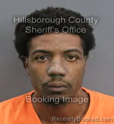 Mugshot of MICHAEL BERNARD JR PATE booked in Hillsborough County, Florida on June 4, 2026