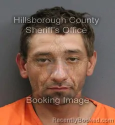 Mugshot of RICHARD JEROME HEINZE booked in Hillsborough County, Florida on June 4, 2026