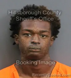 Mugshot of TYCORIOUS LEONARD DIGGS booked in Hillsborough County, Florida on June 4, 2026