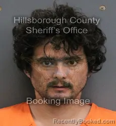 Mugshot of NELSON GABRIEL HERNANDEZ booked in Hillsborough County, Florida on June 4, 2026