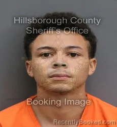 Mugshot of CAMERON XAVIER MILLER booked in Hillsborough County, Florida on June 4, 2026