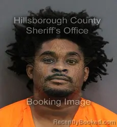 Mugshot of SAMTAVIAN JACQUESE JACKSON booked in Hillsborough County, Florida on June 4, 2026