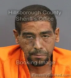 Mugshot of CHRISTIAN RUIZ booked in Hillsborough County, Florida on June 4, 2026