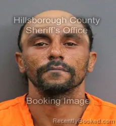 Mugshot of LOUIS ANTHONY CAMARDA booked in Hillsborough County, Florida on June 4, 2026