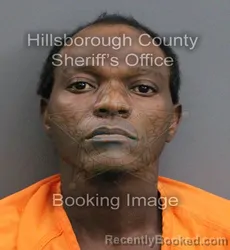 Mugshot of DWAYNE SEDRICK JR BRYANT booked in Hillsborough County, Florida on June 4, 2026