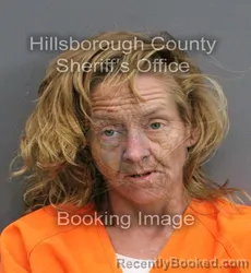Mugshot of ANNA MARIE NOLAND booked in Hillsborough County, Florida on June 4, 2026