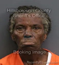 Mugshot of JOANNE BAILEY booked in Hillsborough County, Florida on June 4, 2026