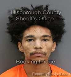 Mugshot of RAHAKEEM EDWARD SZILARD STUBBINS booked in Hillsborough County, Florida on June 4, 2026