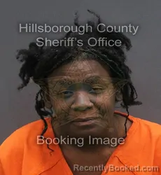 Mugshot of ELANDA LAYDE booked in Hillsborough County, Florida on June 4, 2026