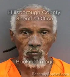 Mugshot of EDDIE CORNELIUS GEORGE booked in Hillsborough County, Florida on June 4, 2026