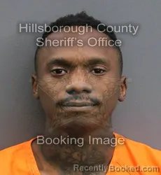 Mugshot of JOHNNY T J LAMOUR booked in Hillsborough County, Florida on June 4, 2026