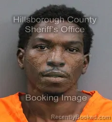 Mugshot of TYREESE MARQUEESE RASHOD RUSS booked in Hillsborough County, Florida on June 4, 2026