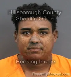 Mugshot of CRISTIAN ALFREDO RUIZ booked in Hillsborough County, Florida on June 4, 2026
