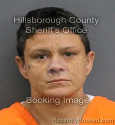 Mugshot of AMBER NICOLE PERERA booked in Hillsborough County, Florida on June 4, 2026