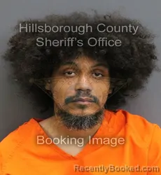 Mugshot of RAMONE WILLIAM MANSFIELD booked in Hillsborough County, Florida on June 4, 2026